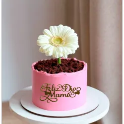 CAKE MAMA MERENGUE