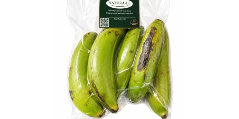 Platano macho