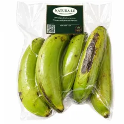 Platano macho
