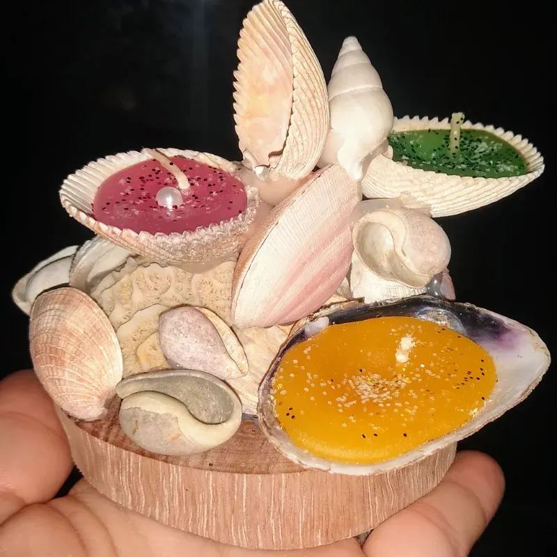 Fondo marino 
