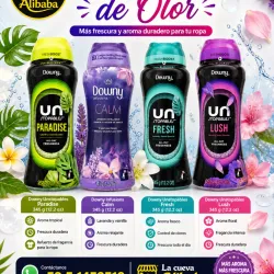 ✔️ Cristales de olor Downy