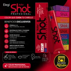 Tintes SHOT 90g / 3.17oz