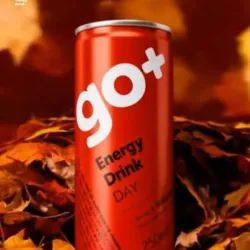 ENERGIZANTE Go (250 ml)