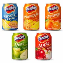 JUGO FRESKO (VARIOS,330ML)