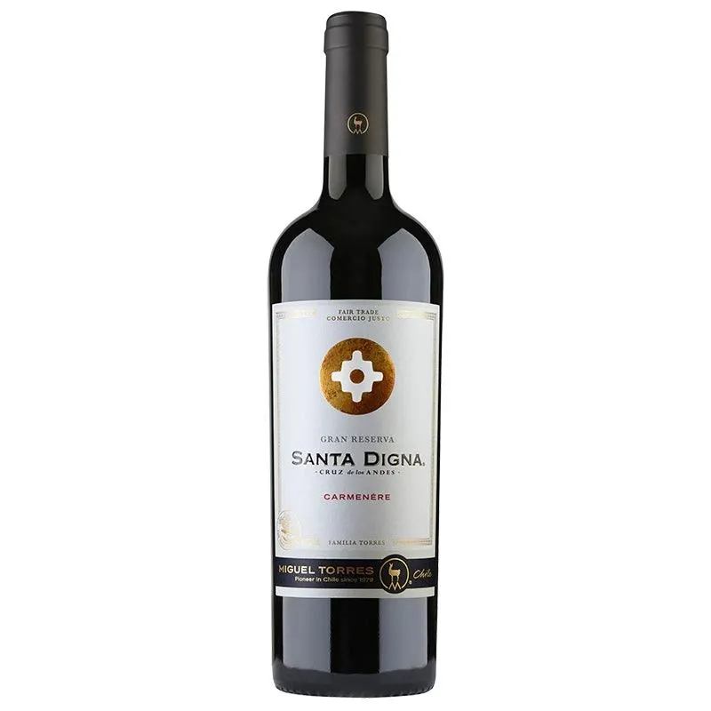 VINO TINTO SANTA DIGNA CARMENERE