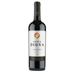 VINO TINTO SANTA DIGNA MERLOT