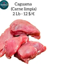 Carne de Caguama limpia 2 Lb