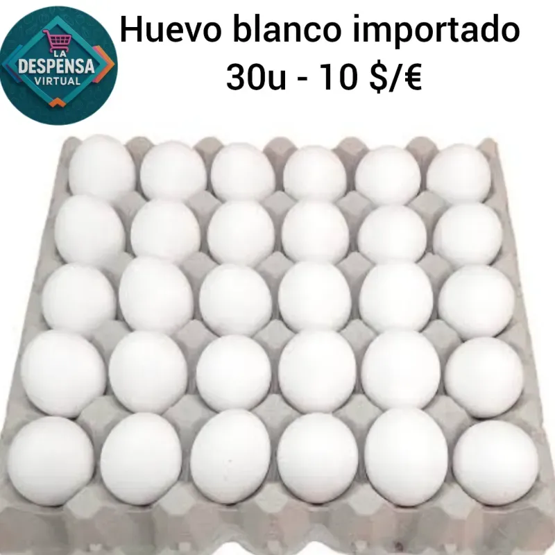 Huevo blanco importado 