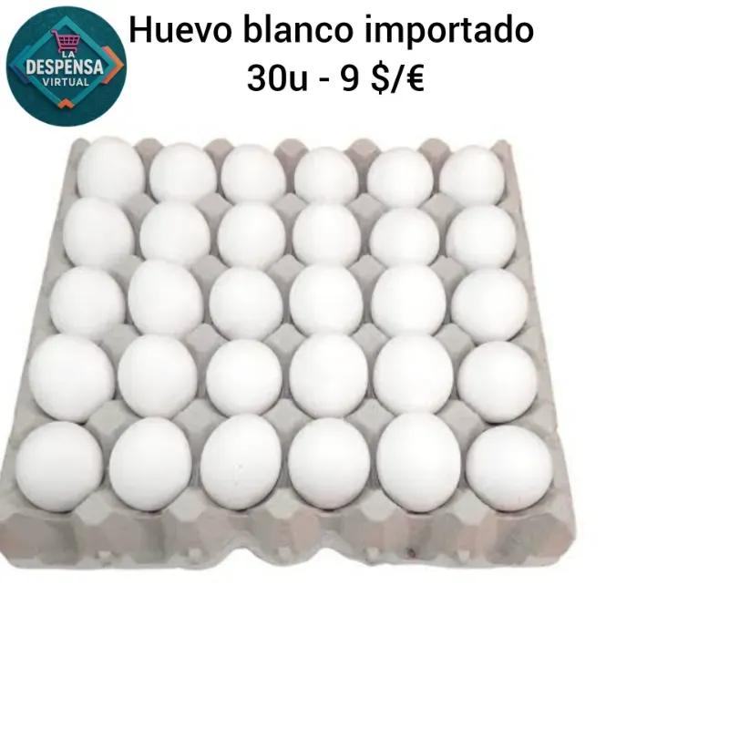Huevo blanco importado 