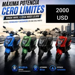 Moto electrica