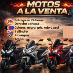 Moto electrica