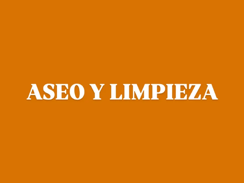 LIMPIEZA HOGAR