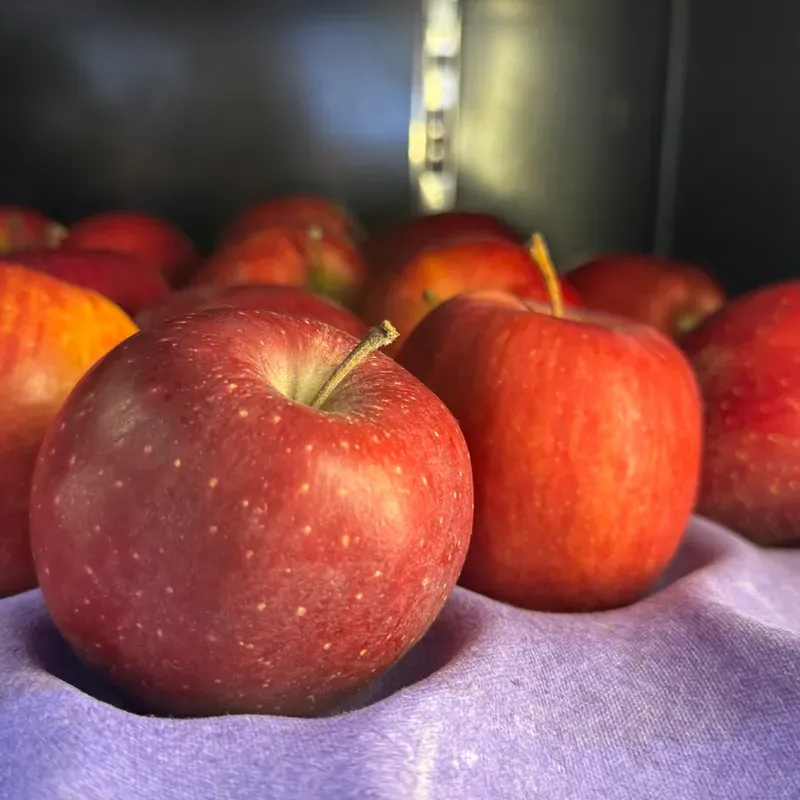 MANZANA