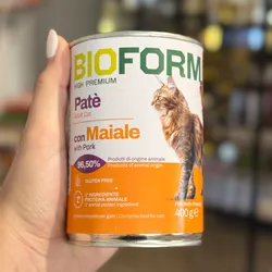 Paté de puerco para gatos 