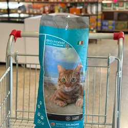 Pienso de salmón para gatos 