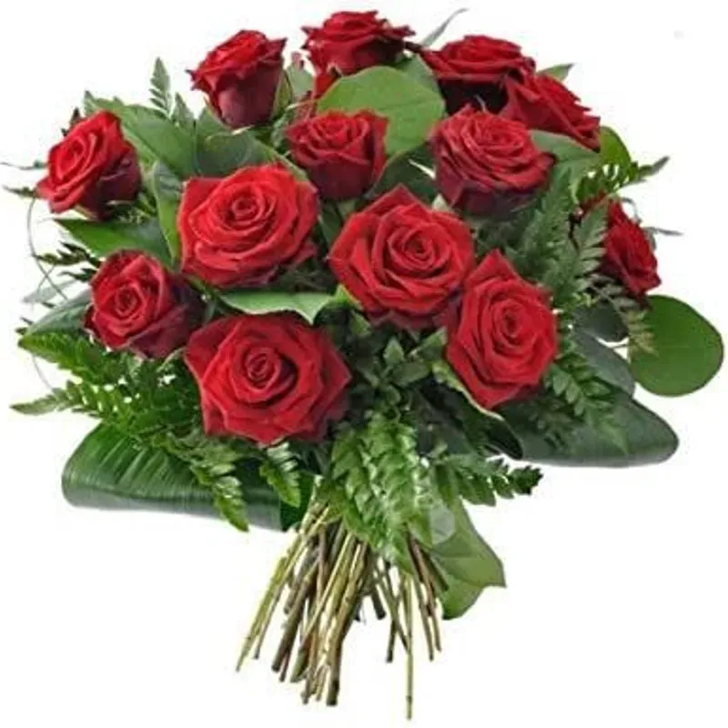 Docena de rosas 