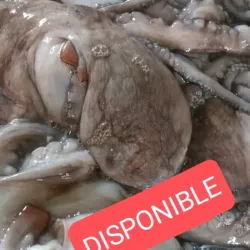 Pulpo