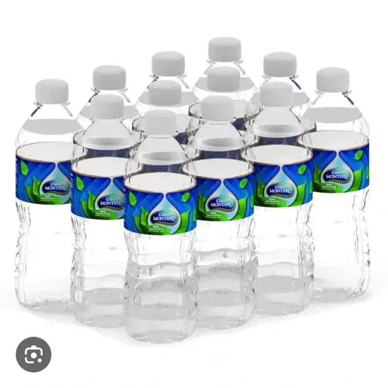 Agua mineral 1LT