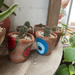 Cactus 🌵 