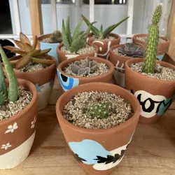 Cactus en macetas decoradas 🖌