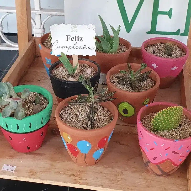 Cactus 🌵 macetas decoradas