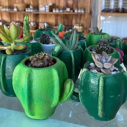Cactus 🌵 