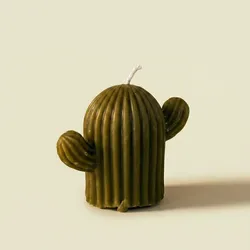 Vela Cactus 🌵 