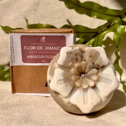 Jabón de flor de jamaica 🌺 