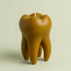 Vela Molar 🦷 