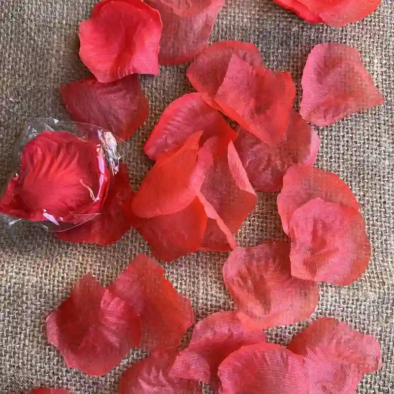 Pétalos de rosas 🌹 