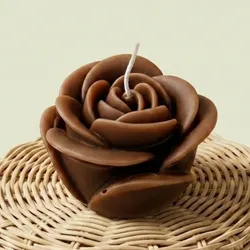 Vela Rosa 🌹 