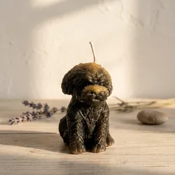 Vela Mi perrito Tipo 1 🐕 