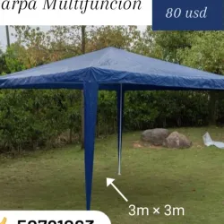 Carpa Multinacional