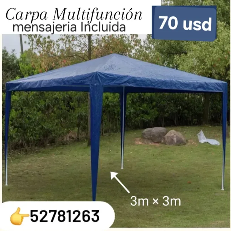 Carpa Multinacional