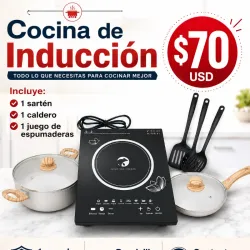 Cocina de Induccion