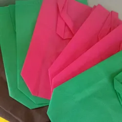 Bolsas de Asas Largas ( Varios Colores)