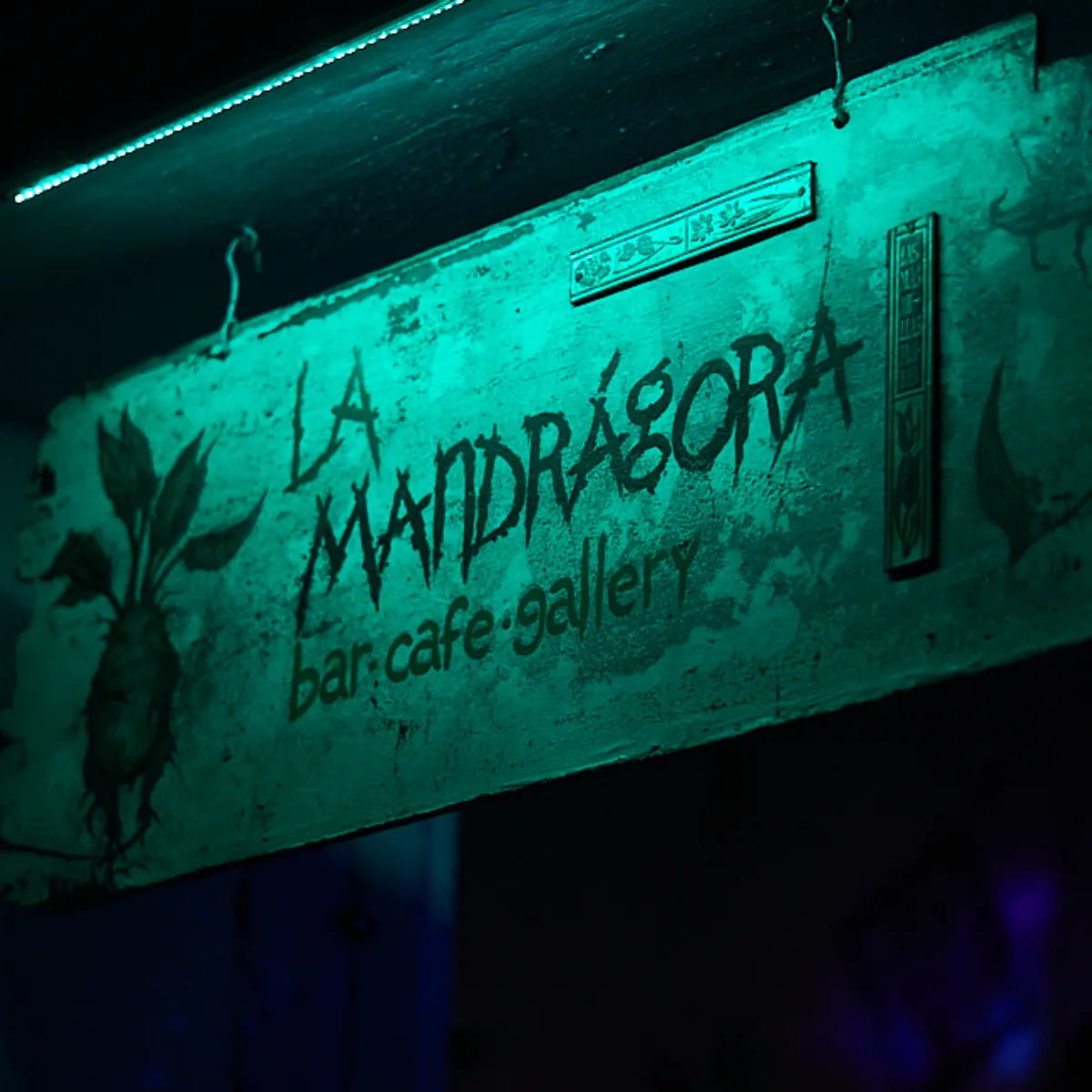 La Mandragora