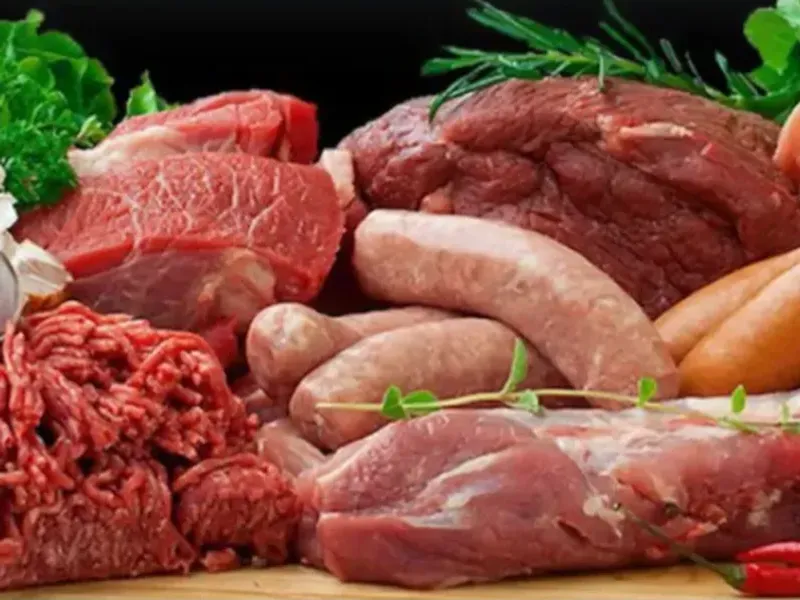 Carnes y Congelados 
