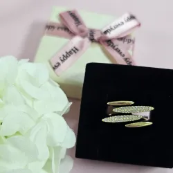 Anillos