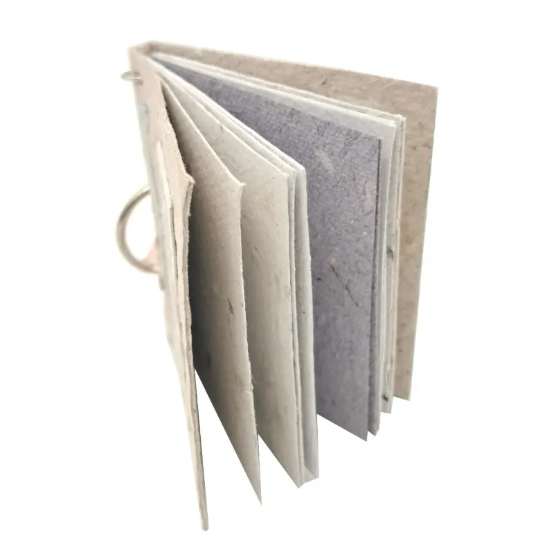 Agendas Llaveros Chicas x La Mina