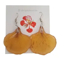 Aretes Pétalos Acrílicos