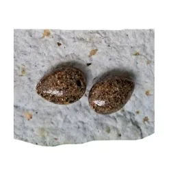 Aretes Sarapico Lagrima Arena