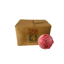 Caja de Helado Vida Láctea sabor Mamey (4L)