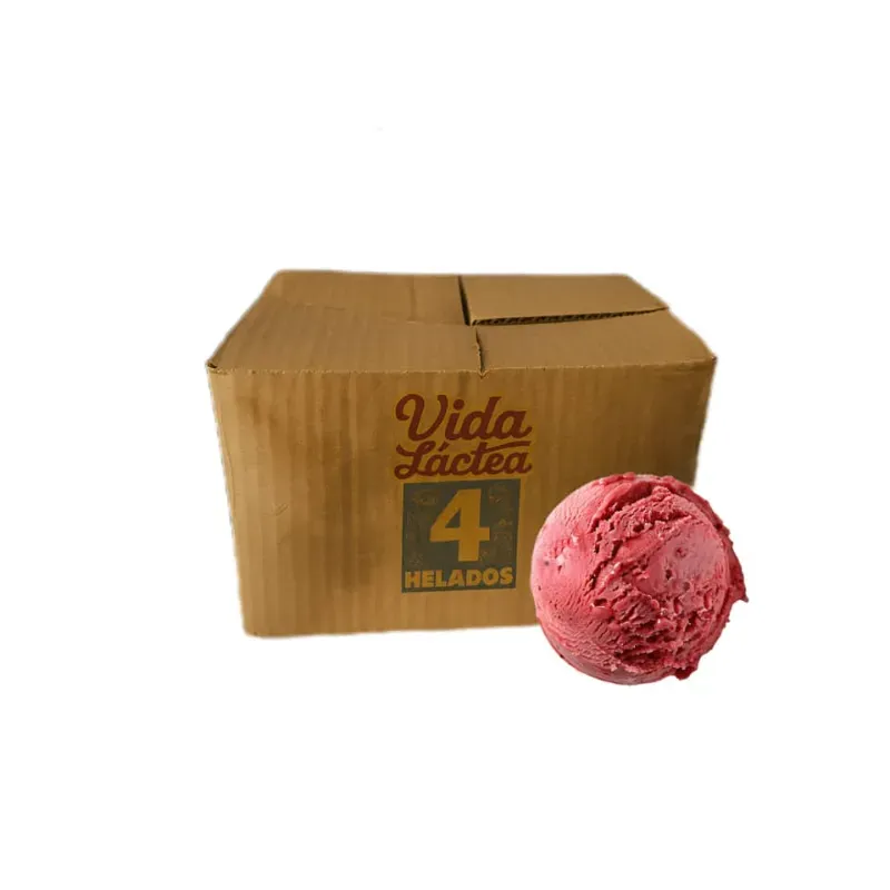 Caja de Helado Vida Láctea sabor Mamey (4L)