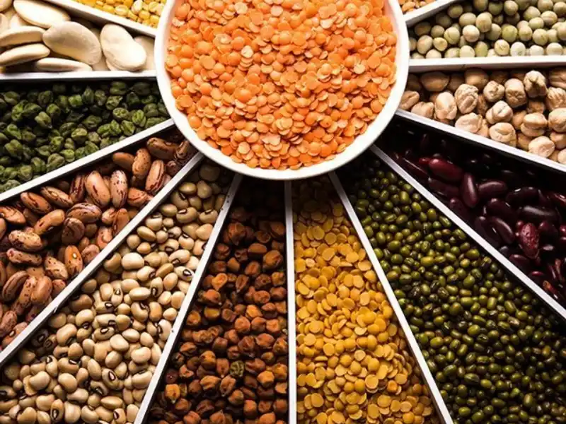 Granos, pastas  y Cereales 