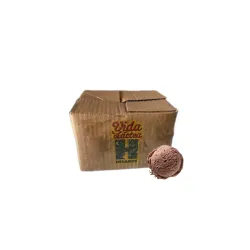 Helado Vida Láctea sabor chocolate (4L)
