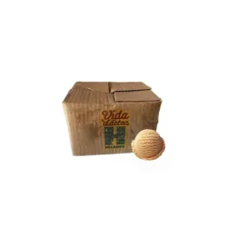 Helado Vida Láctea sabor malteada (4L)