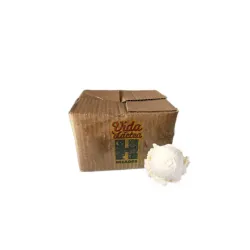 Helado Vida Láctea sabor vainilla (4L)