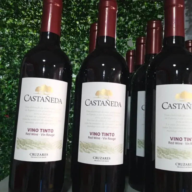 Vino tinto CASTAÑEDA 750 ml (1/u)