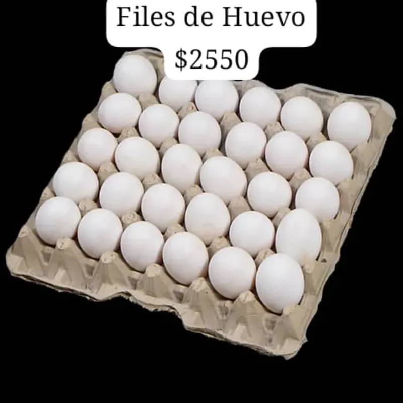 Cartón de Huevos